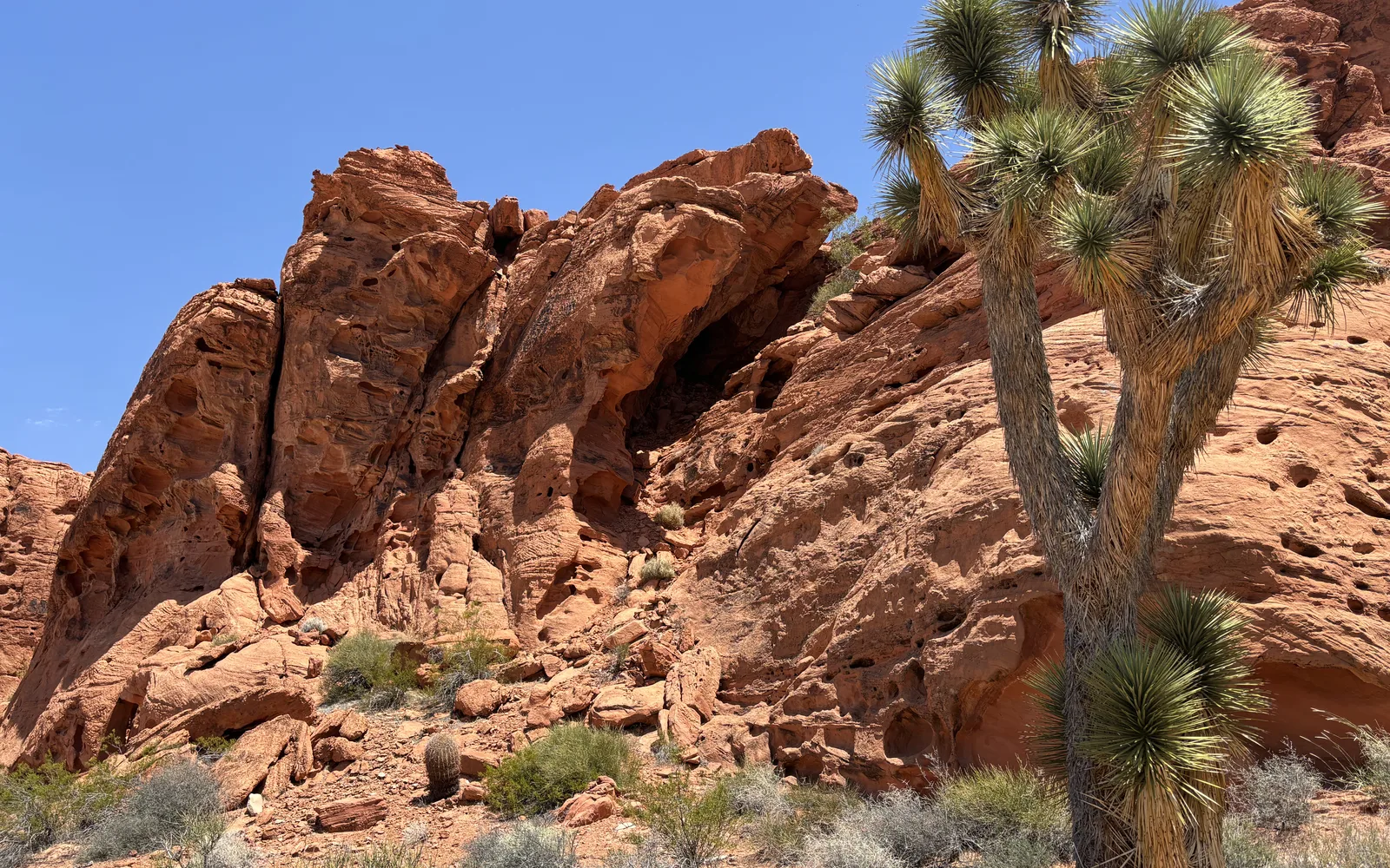 Mojave Desert landscape showing natural desert terrain, rock formations, and sparse vegetation under clear skies